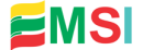 EMSI logotipas
